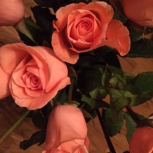 Meet your Posher, Livvy